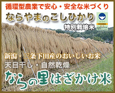 農事組合法人ならやまは循環型農業で安全・安心なお米を生産しています。